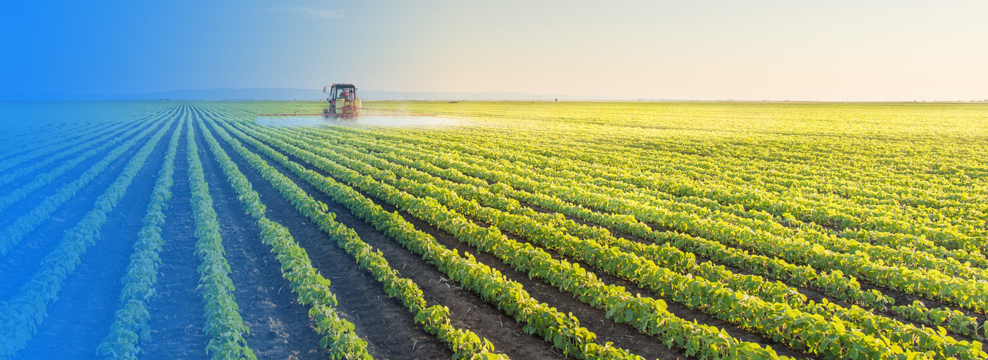 918博天堂农业公司